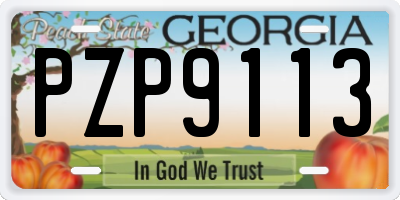 GA license plate PZP9113