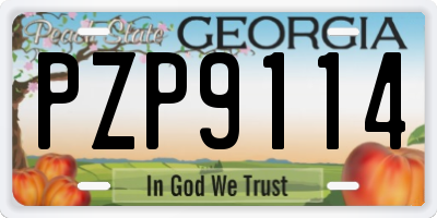 GA license plate PZP9114