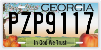 GA license plate PZP9117
