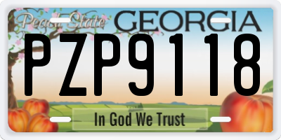 GA license plate PZP9118