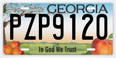 GA license plate PZP9120