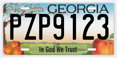 GA license plate PZP9123