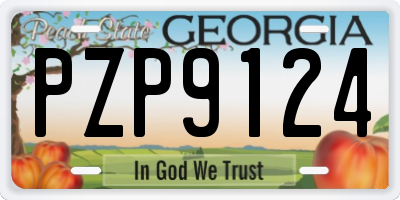 GA license plate PZP9124