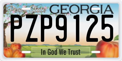 GA license plate PZP9125
