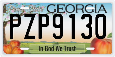 GA license plate PZP9130