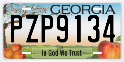 GA license plate PZP9134