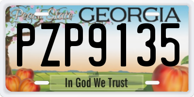 GA license plate PZP9135