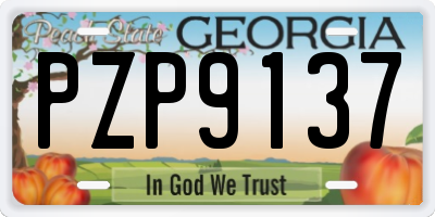 GA license plate PZP9137