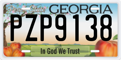 GA license plate PZP9138