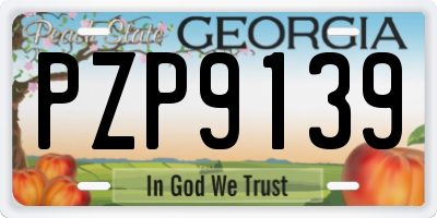 GA license plate PZP9139