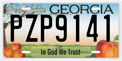 GA license plate PZP9141