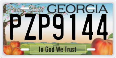 GA license plate PZP9144