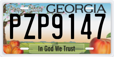 GA license plate PZP9147