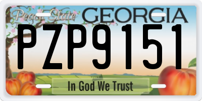 GA license plate PZP9151