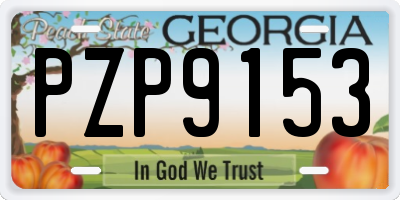 GA license plate PZP9153