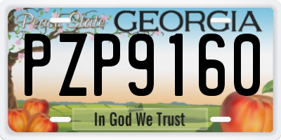 GA license plate PZP9160