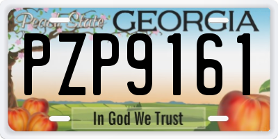 GA license plate PZP9161