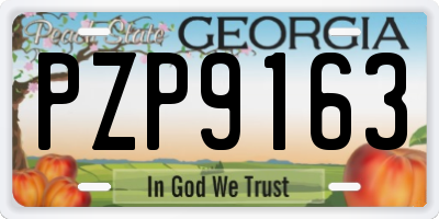 GA license plate PZP9163