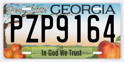 GA license plate PZP9164