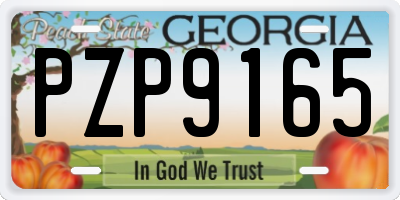 GA license plate PZP9165