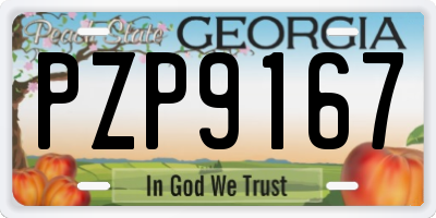 GA license plate PZP9167