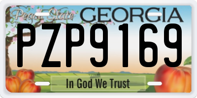 GA license plate PZP9169