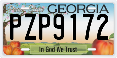 GA license plate PZP9172