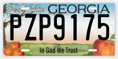 GA license plate PZP9175
