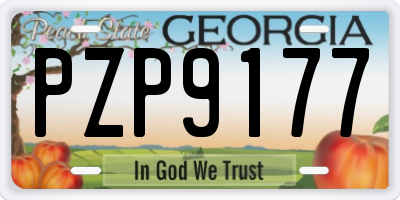 GA license plate PZP9177