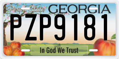 GA license plate PZP9181