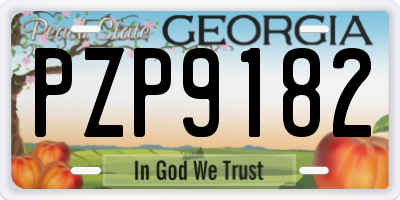GA license plate PZP9182