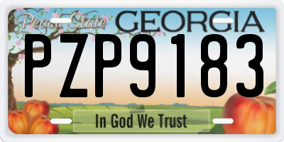 GA license plate PZP9183
