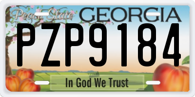 GA license plate PZP9184