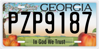 GA license plate PZP9187