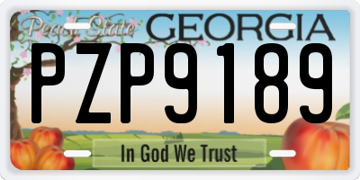 GA license plate PZP9189