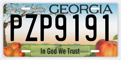 GA license plate PZP9191
