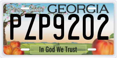GA license plate PZP9202