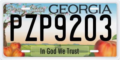 GA license plate PZP9203