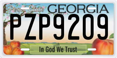 GA license plate PZP9209