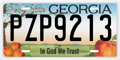 GA license plate PZP9213
