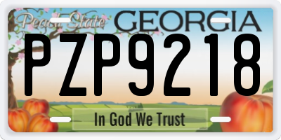 GA license plate PZP9218