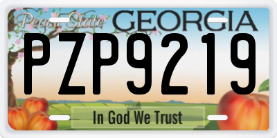 GA license plate PZP9219