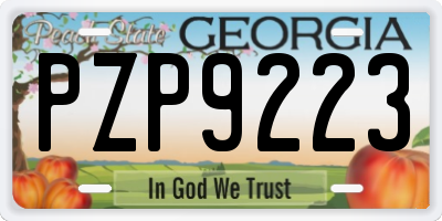 GA license plate PZP9223