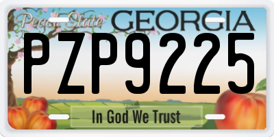 GA license plate PZP9225