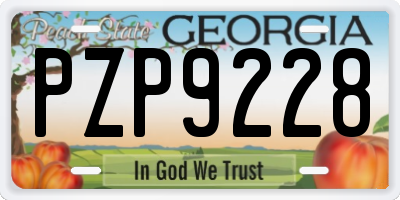 GA license plate PZP9228