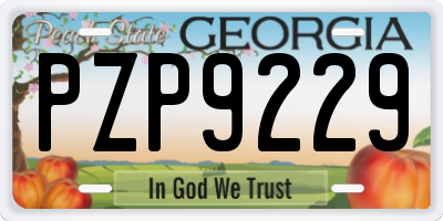 GA license plate PZP9229
