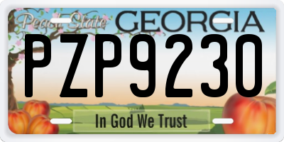 GA license plate PZP9230