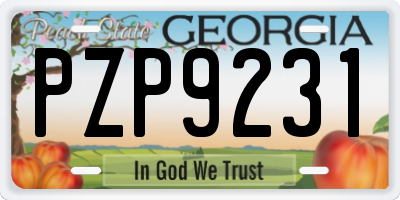 GA license plate PZP9231
