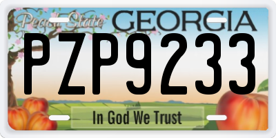 GA license plate PZP9233