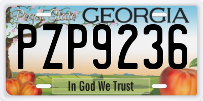 GA license plate PZP9236